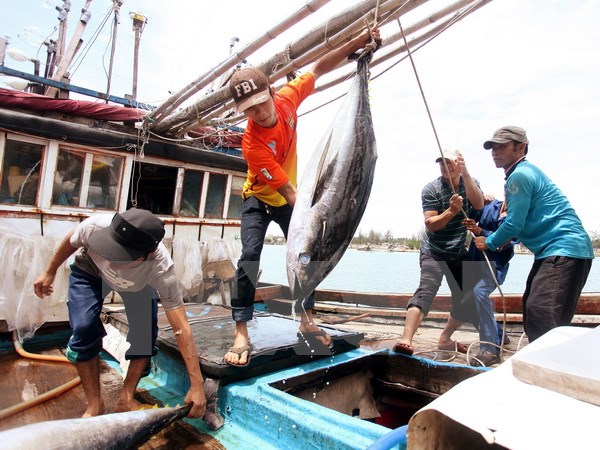 Xây dựng Trung tâm nghề cá lớn tại Khánh Hòa